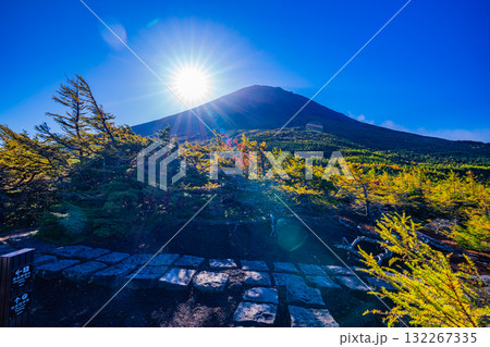 【山梨県】富士山・朝の光が奥庭を照らす 【山梨県】富士山・朝の光が奥庭を照らす 132267335