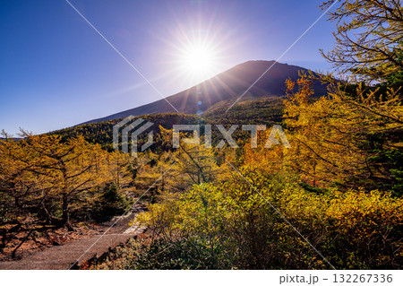 【山梨県】富士山・朝の光が奥庭を照らす 【山梨県】富士山・朝の光が奥庭を照らす 132267336