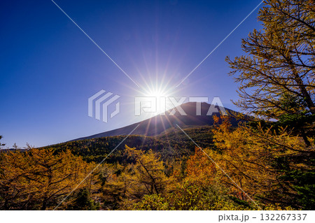 【山梨県】富士山・朝の光が奥庭を照らす 132267337