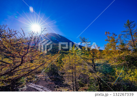 【山梨県】富士山・朝の光が奥庭を照らす 132267339