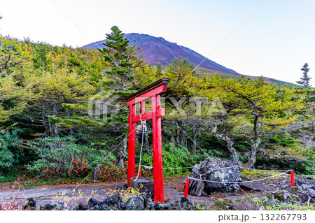 【山梨県】富士山 奥庭の赤鳥居と天狗岩 【山梨県】富士山 奥庭の赤鳥居と天狗岩 132267793