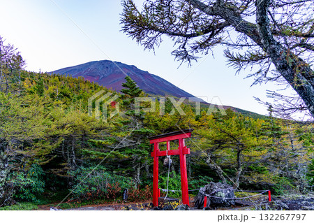 【山梨県】富士山　奥庭の赤鳥居と天狗岩 132267797
