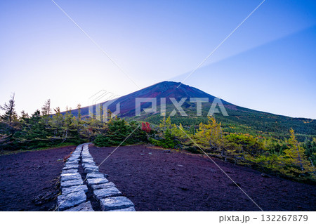 【山梨県】富士山 奥庭遊歩道から見る日の出 【山梨県】富士山 奥庭遊歩道から見る日の出 132267879