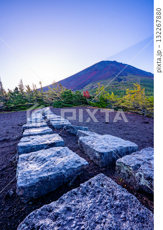 【山梨県】富士山 奥庭遊歩道から見る日の出 【山梨県】富士山 奥庭遊歩道から見る日の出 132267880