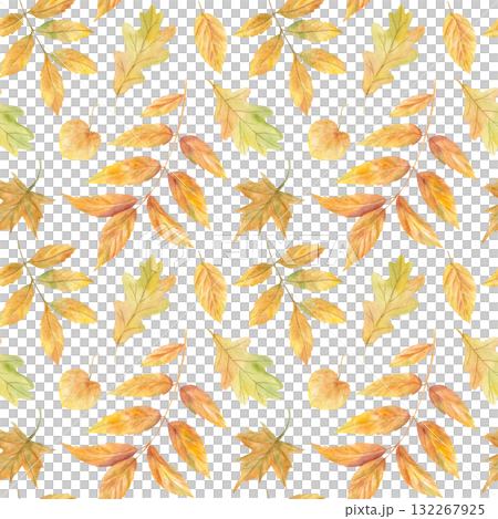 Hand painted autumn leaves in orange, yellow, green colors watercolor seamless pattern on isolated background. Fall maple, oak, elm, ash leaf ornate. Floral illustration for botanical design, decor. 132267925