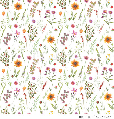 Blooming wild flowers and plants watercolor seamless pattern on isolated background. Hand panted autumn flower, berries, spikelet, leaves illustration. Floral ornate for packaging design, poster. 132267927