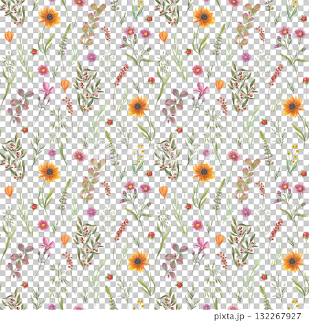 Blooming wild flowers and plants watercolor seamless pattern on isolated background. Hand panted autumn flower, berries, spikelet, leaves illustration. Floral ornate for packaging design, poster. 132267927
