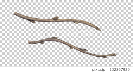 Watercolor two branches set illustration with buds on isolated background. Brown bare tree branch without leaves clip art. Decorative dry twigs for Christmas design, seasonal decor. 132267929