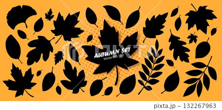 A large set of silhouettes of autumn leaves in black with different shapes and orange colors. A large set of silhouettes of autumn leaves in black with different shapes and orange colors. 132267963