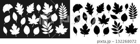 A set of silhouettes of white and black autumn leaves of different shapes. A set of silhouettes of white and black autumn leaves of different shapes. 132268072