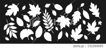 A set of silhouettes of autumn leaves of different shapes on a white and black background. A set of silhouettes of autumn leaves of different shapes on a white and black background. 132268085