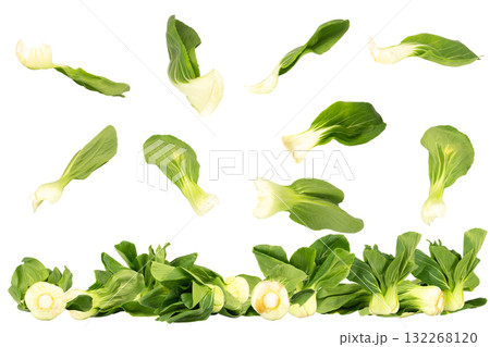 Taiwan bok choy falling and scattering on white background 132268120