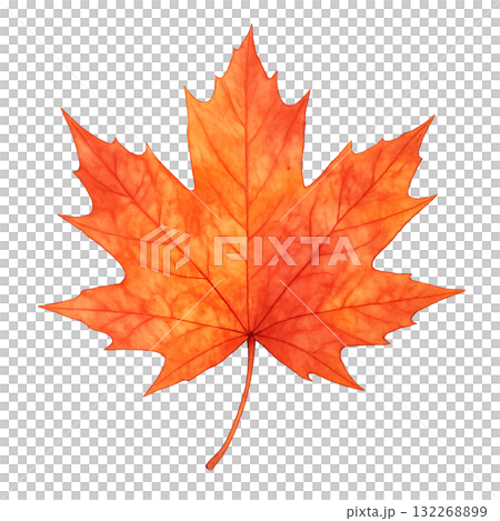 秋の紅葉　水彩イラスト　もみじの葉 132268899