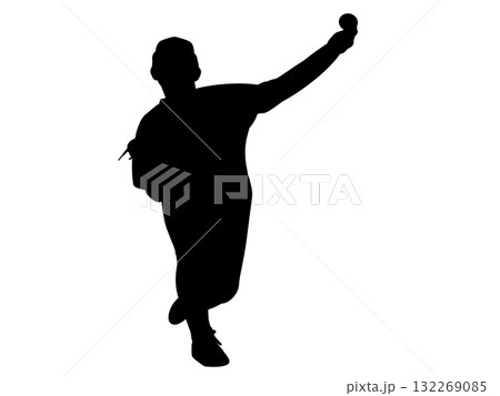 ベースボール 132269085