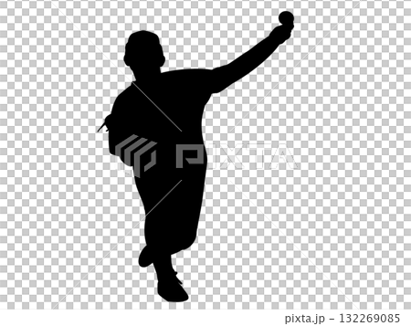 ベースボール 132269085