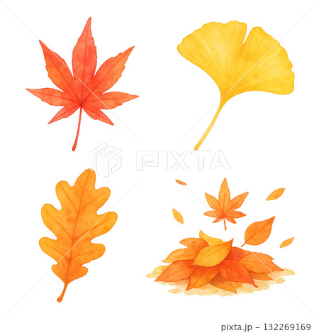 秋を彩る紅葉といちょうの水彩イラスト4点セット 132269169