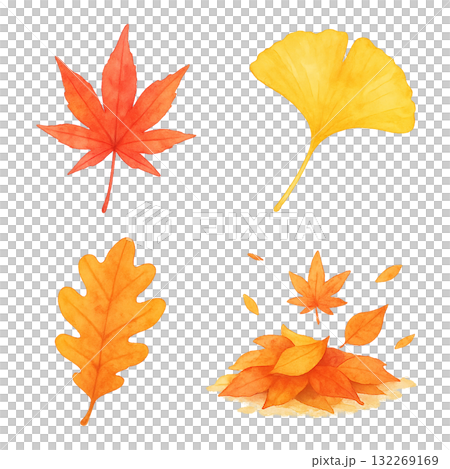 秋を彩る紅葉といちょうの水彩イラスト4点セット 132269169