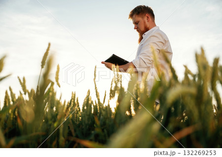 Checking the growth process, with digital tablet. Man in white shirt is on the agricultural field Checking the growth process, with digital tablet. Man in white shirt is on the agricultural field 132269253