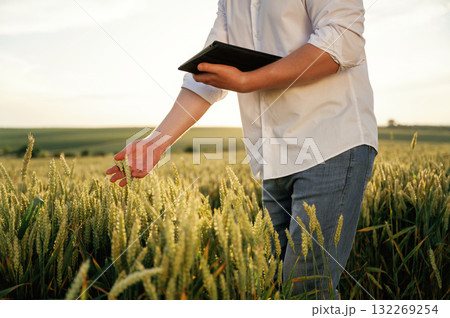 Checking the growth process, with digital tablet. Man in white shirt is on the agricultural field Checking the growth process, with digital tablet. Man in white shirt is on the agricultural field 132269254