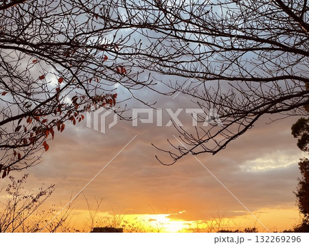 晩秋の夕暮れの景色 晩秋の夕暮れの景色 132269296