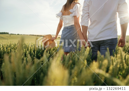 View from the back, holding hands, walking. Lovely couple are on the green agricultural field together View from the back, holding hands, walking. Lovely couple are on the green agricultural field together 132269411