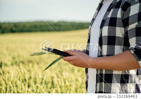 Process of quality control, with digital tablet. Man in white shirt is on the agricultural field Process of quality control, with digital tablet. Man in white shirt is on the agricultural field 132269461