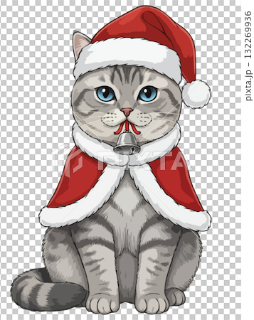 Cute silver tabby British Shorthair cat in Santa costume with a jingle bell. 132269936