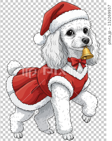 Cute white Poodle dog in a Mrs. Claus costume holding a golden bell Cute white Poodle dog in a Mrs. Claus costume holding a golden bell 132269937