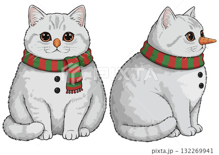 Set of two cute British Shorthair cats disguised as snowmen, a funny Christmas Set of two cute British Shorthair cats disguised as snowmen, a funny Christmas 132269941