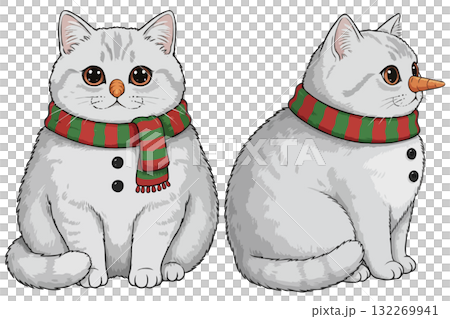Set of two cute British Shorthair cats disguised as snowmen, a funny Christmas  132269941