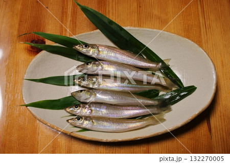 新鮮なシロギス 132270005