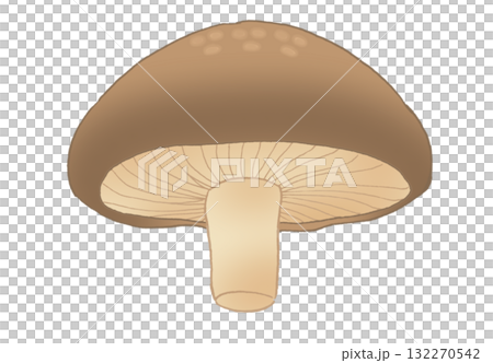 下から見たシンプルなしいたけのイラスト 132270542