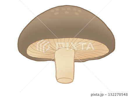 下から見たシンプルなしいたけのイラスト 下から見たシンプルなしいたけのイラスト 132270548