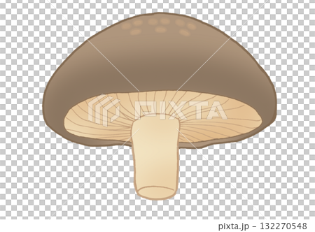 下から見たシンプルなしいたけのイラスト 下から見たシンプルなしいたけのイラスト 132270548