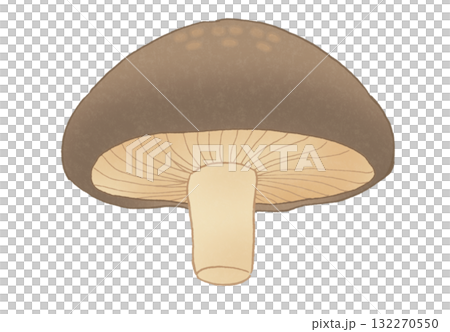 從下方看到的香菇的簡單插圖 從下方看到的香菇的簡單插圖 132270550
