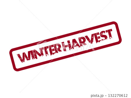 Celebrating seasonal bounty and natural abundance with a rustic winter harvest stamp 132270612