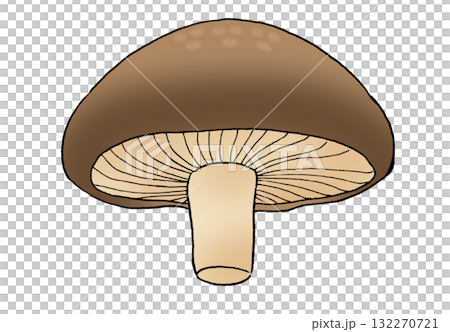 從下方看到的香菇的簡單插圖 從下方看到的香菇的簡單插圖 132270721
