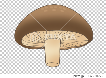 從下方看到的香菇的簡單插圖 132270722