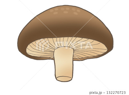 下から見たシンプルなしいたけのイラスト 132270723