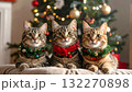 クリスマス仕様にデコレーションされた猫 132270898