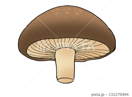 下から見たシンプルなしいたけのイラスト 下から見たシンプルなしいたけのイラスト 132270904