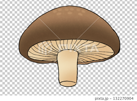 下から見たシンプルなしいたけのイラスト 下から見たシンプルなしいたけのイラスト 132270904