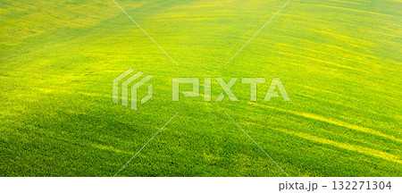 Summer rural landscape, countryside. Grass texture. Rolling wheat fields on the hill. Nature background. Horizontal banner Summer rural landscape, countryside. Grass texture. Rolling wheat fields on the hill. Nature background. Horizontal banner 132271304