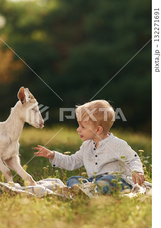 Cute little boy is playing with goat on the field Cute little boy is playing with goat on the field 132271691
