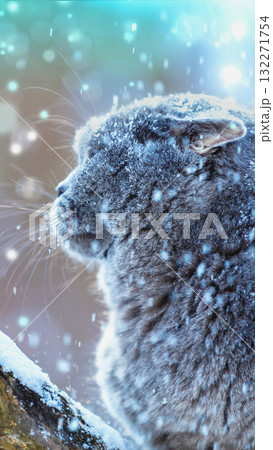 Blue British shorthair cat outdoors in winter. The cat is in the deep snow at blizzard. Vertical banner Blue British shorthair cat outdoors in winter. The cat is in the deep snow at blizzard. Vertical banner 132271754