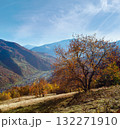 Autumn Carpathian mountain, Rakhiv, Ukraine 132271910