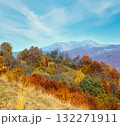 Autumn Carpathian mountain, Ukraine 132271911