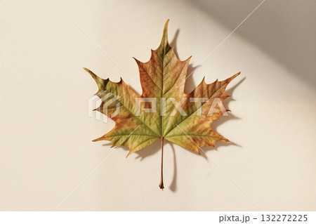 Autumn maple leaf on textured fabric with soft light and shadow. AI generated Autumn maple leaf on textured fabric with soft light and shadow. AI generated 132272225