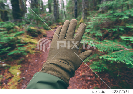 Hand wearing brown hiking glove raised on forest path, surrounded by lush green foliage and moss, creating sense of adventure and exploration in nature Hand wearing brown hiking glove raised on forest path, surrounded by lush green foliage and moss, creating sense of adventure and exploration in nature 132272521