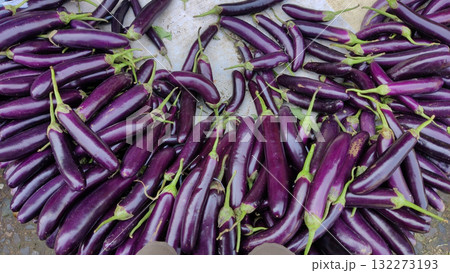 A vibrant display of long slender purple eggplants their glossy skin reflecting light piled high at a local produce stand A vibrant display of long slender purple eggplants their glossy skin reflecting light piled high at a local produce stand 132273193
